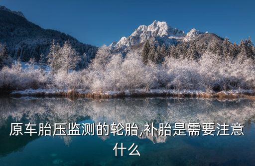 自動(dòng)化換胎補(bǔ)胎設(shè)備,全自動(dòng)補(bǔ)胎機(jī)器人