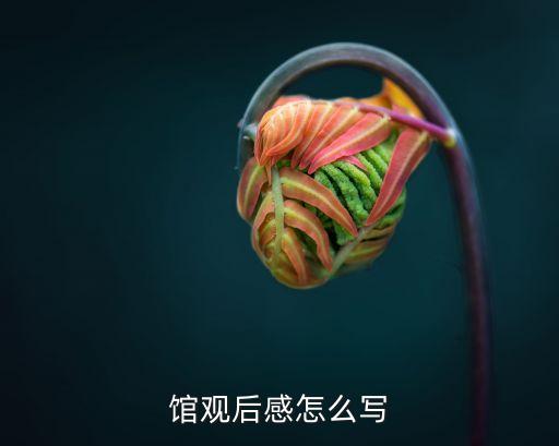館觀后感怎么寫
