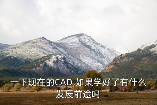 cad自動化設(shè)備,自動cad繪圖