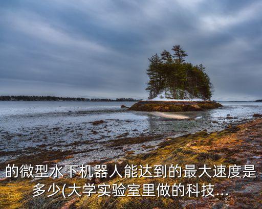 小型水下機器人價格,水下打撈機器人價格