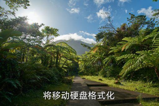 如果機(jī)械硬盤作數(shù)據(jù)盤如何格式化,機(jī)械硬盤怎么格式化?