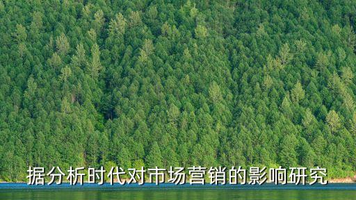 據(jù)分析時(shí)代對(duì)市場營銷的影響研究