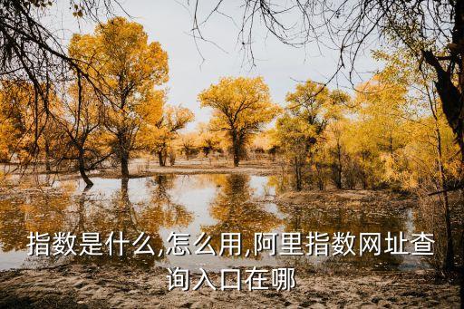 指數(shù)是什么,怎么用,阿里指數(shù)網(wǎng)址查詢?nèi)肟谠谀? class=