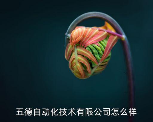 五德自動化技術(shù)有限公司怎么樣