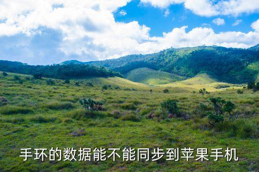 手環(huán)的數(shù)據(jù)能不能同步到蘋果手機(jī)