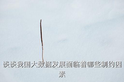 談?wù)勎覈髷?shù)據(jù)發(fā)展面臨著哪些制約因素