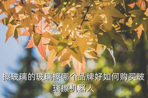 擦玻璃的玻璃擦哪個品牌好如何購買玻璃擦機器人
