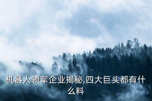 機(jī)器人領(lǐng)軍企業(yè)揭秘,四大巨頭都有什么料