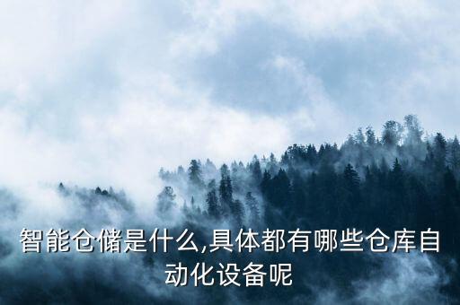 智能倉(cāng)儲(chǔ)是什么,具體都有哪些倉(cāng)庫(kù)自動(dòng)化設(shè)備呢