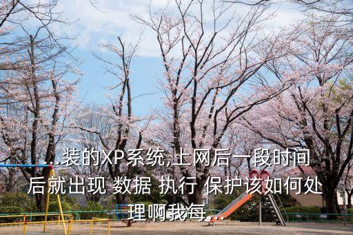 數(shù)據(jù)執(zhí)行保護(hù) xp
