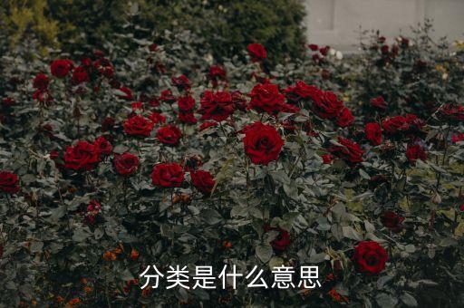 自動化公司 國民經(jīng)濟分類,國民經(jīng)濟自動化系統(tǒng)