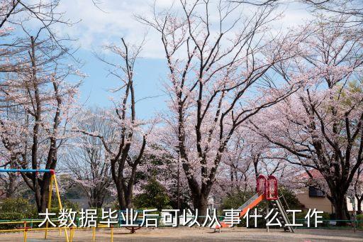 大數(shù)據(jù)扶持領(lǐng)域,大數(shù)據(jù)在哪些領(lǐng)域可以應(yīng)用?