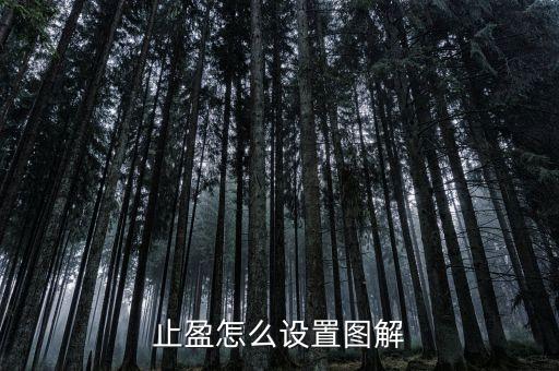 止盈怎么設(shè)置圖解