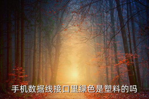 尼龍編織線的數(shù)據(jù)線,編織數(shù)據(jù)線質(zhì)量好嗎?