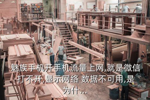  魅族手機(jī)開手機(jī)流量上網(wǎng),就是微信 打不開,顯示網(wǎng)絡(luò) 數(shù)據(jù)不可用,是為什...