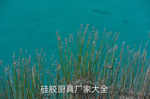 硅膠廚具廠家大全