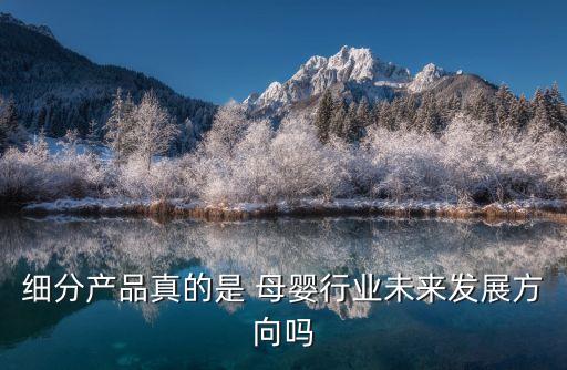 細(xì)分產(chǎn)品真的是 母嬰行業(yè)未來發(fā)展方向嗎