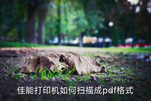 佳能打印機(jī)如何掃描成pdf格式