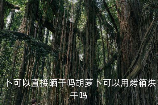 卜可以直接曬干嗎胡蘿卜可以用烤箱烘干嗎