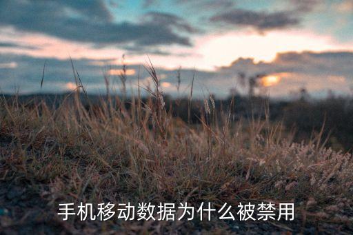 手機(jī)移動(dòng)數(shù)據(jù)為什么被禁用