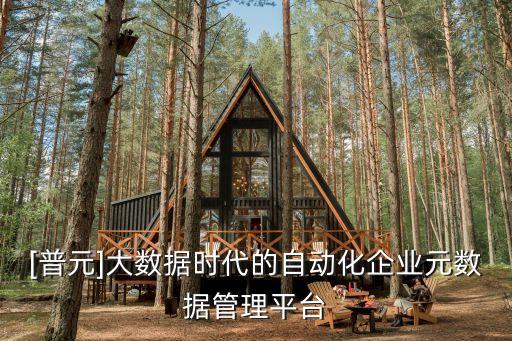 [普元]大數(shù)據(jù)時(shí)代的自動(dòng)化企業(yè)元數(shù)據(jù)管理平臺(tái)
