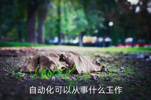 中能電氣自動化測試工作,單行程電氣自動化技能測試
