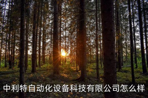 中利特自動化設備科技有限公司怎么樣