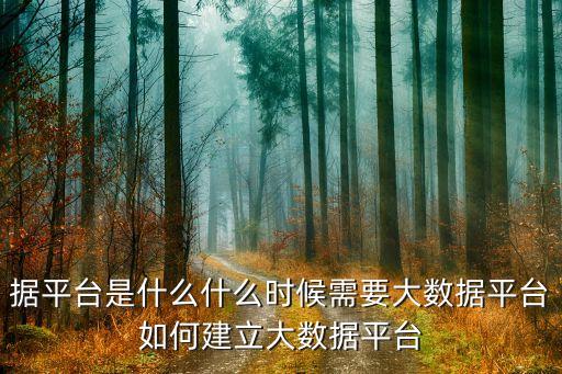 大數(shù)據(jù)平臺 方案,什么是旅游大數(shù)據(jù)平臺?