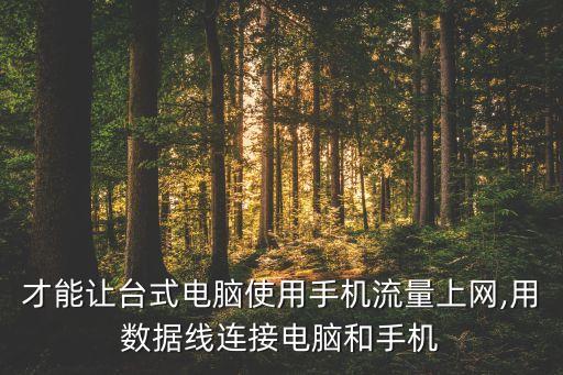 電腦可以通過手機(jī)數(shù)據(jù)線上網(wǎng)嗎,手機(jī)可以通過網(wǎng)線上網(wǎng)嗎?
