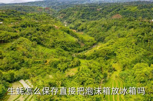 生蠔怎么保存直接把泡沫箱放冰箱嗎
