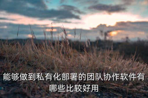能夠做到私有化部署的團(tuán)隊(duì)協(xié)作軟件有哪些比較好用