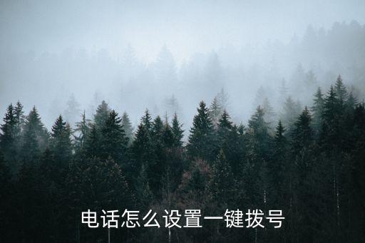 電話怎么設(shè)置一鍵撥號