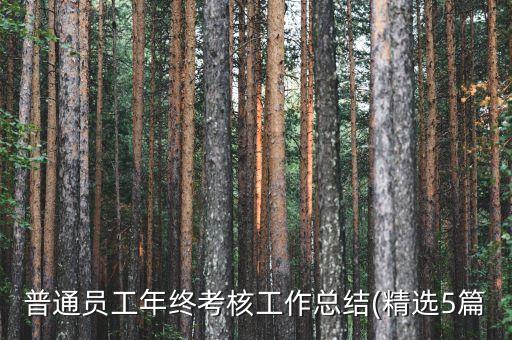 普通員工年終考核工作總結(jié)(精選5篇