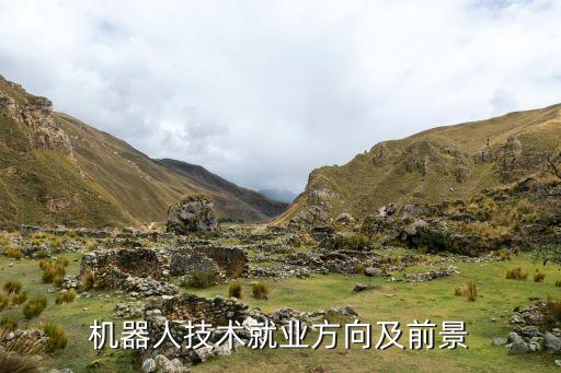機(jī)器人技術(shù)就業(yè)方向及前景