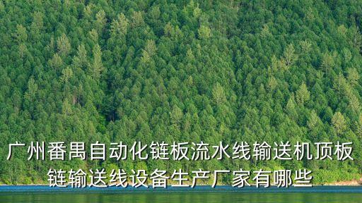 廣州番禺自動(dòng)化鏈板流水線輸送機(jī)頂板鏈輸送線設(shè)備生產(chǎn)廠家有哪些