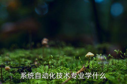 電力學(xué)校自動化專業(yè),自動化學(xué)校專業(yè)排名