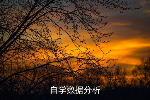 自學(xué)數(shù)據(jù)分析