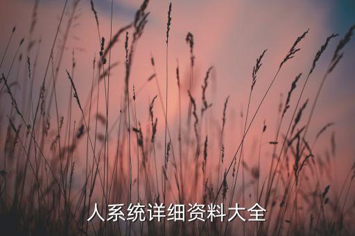 人系統(tǒng)詳細資料大全