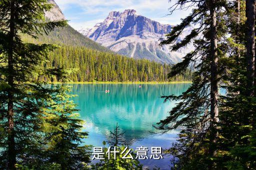 是什么意思