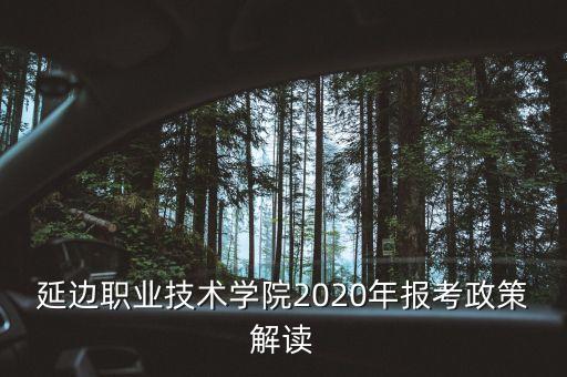 延邊職業(yè)技術學院2020年報考政策解讀