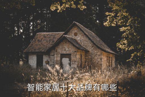 艾捷自動(dòng)化科技有限公司,中國(guó)做自動(dòng)化設(shè)備大公司有哪些?