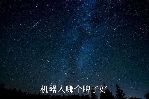 機器人哪個牌子好