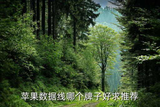 蘋果數(shù)據(jù)線哪個牌子好求推薦