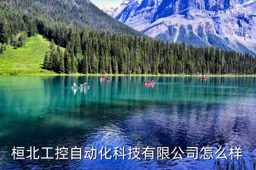 天津大型自動(dòng)化公司有哪些,柳州有哪些大型自動(dòng)化公司?...