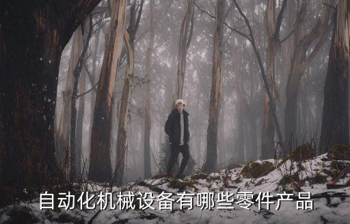 自動(dòng)化機(jī)械設(shè)備有哪些零件產(chǎn)品