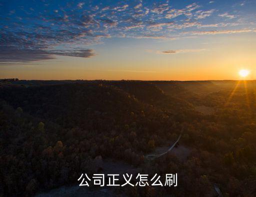 公司正義怎么刷