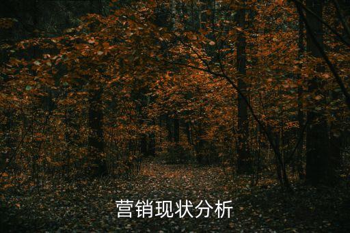 營銷現(xiàn)狀分析