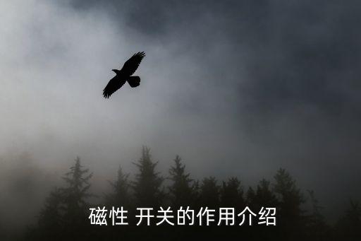 磁性 開關的作用介紹