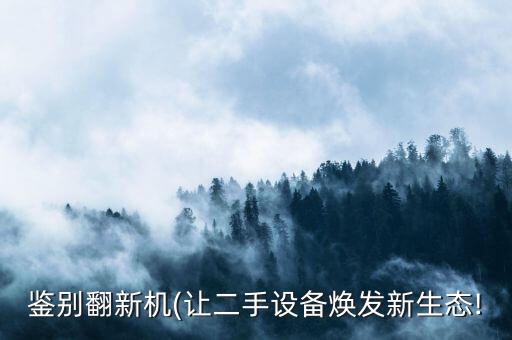 鑒別翻新機(讓二手設(shè)備煥發(fā)新生態(tài)!