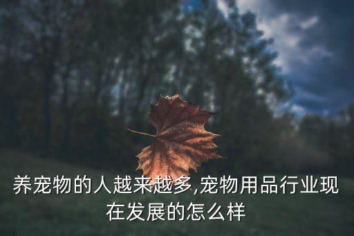 養(yǎng)寵物的人數據,老年人養(yǎng)寵物的數據